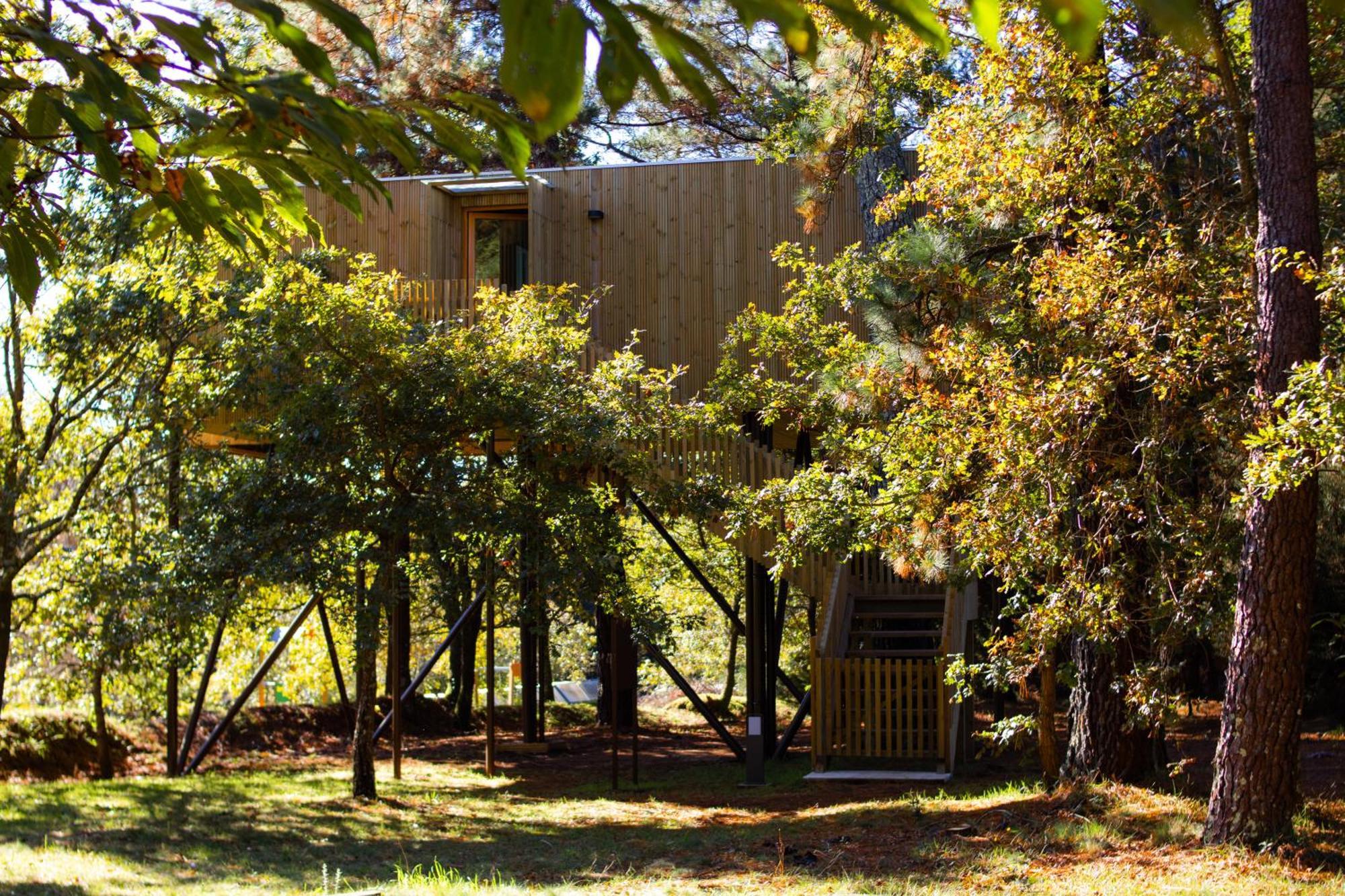 Holacamp Camino O Pino Exterior foto